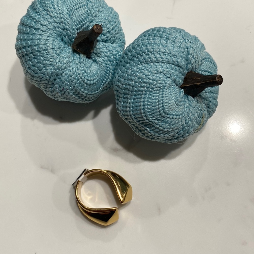 Banana Republic ring.